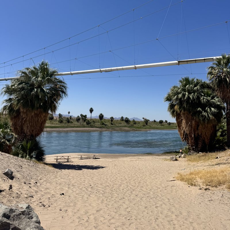 The beach and the Colorado River at The Cove